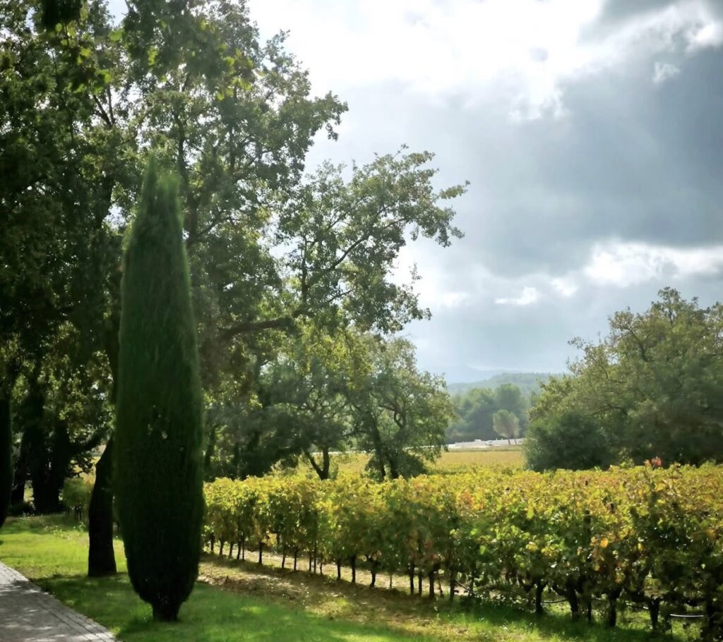 chateau de la galinière - mariage provence - wedding planner provence - lieu mariage provence - mariage haut de gamme - luxury wedding - wedding in provence