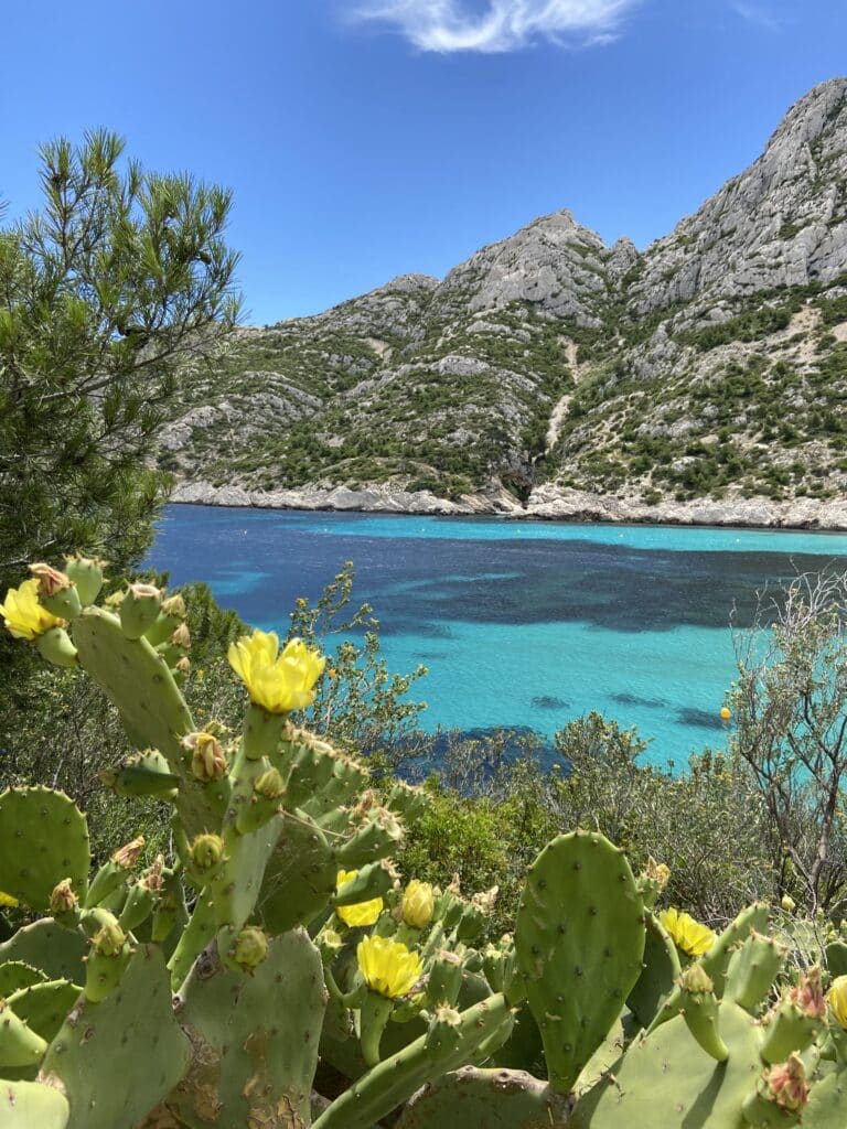 calanque de sormiou - calanques marseille - mariage marseille