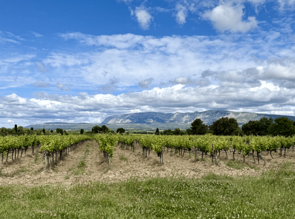 mas des auréliens Trets - où se marier en provence ?