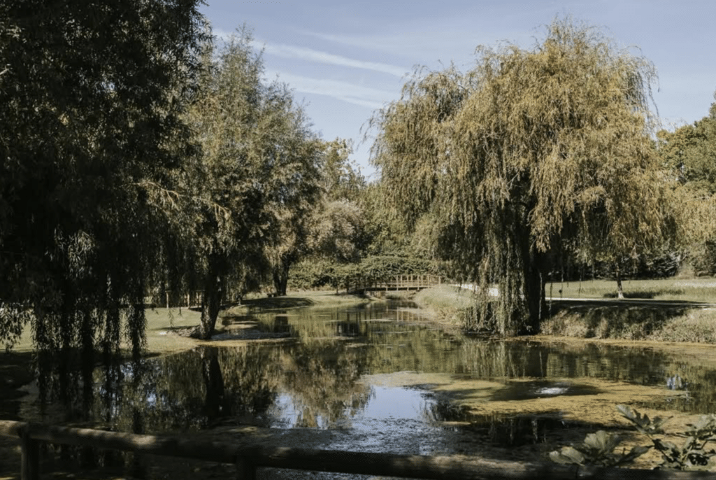 Domaine du Grand Lauron - où se marier en provence - wedding planner marseille provence