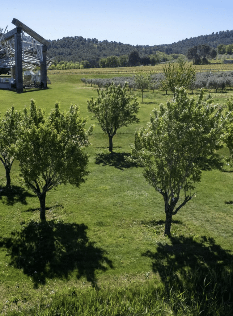 Chateau La Coste - où se marier en provence - wedding planner marseille provence